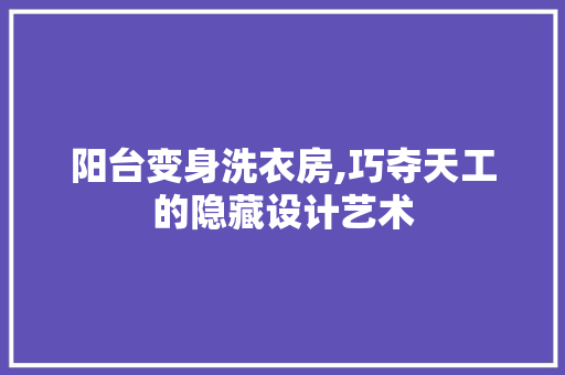 阳台变身洗衣房,巧夺天工的隐藏设计艺术