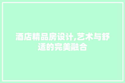 酒店精品房设计,艺术与舒适的完美融合
