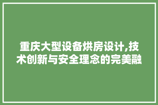 重庆大型设备烘房设计,技术创新与安全理念的完美融合