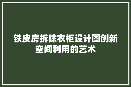 铁皮房拆除衣柜设计图创新空间利用的艺术