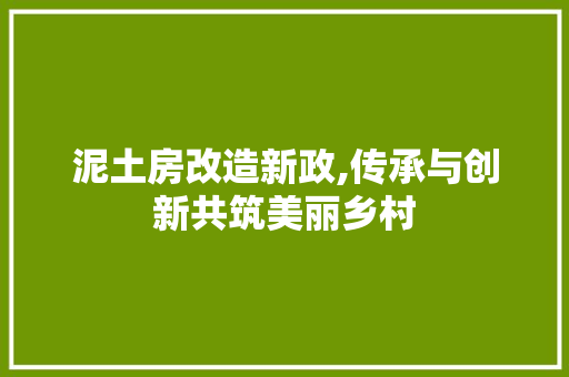 泥土房改造新政,传承与创新共筑美丽乡村