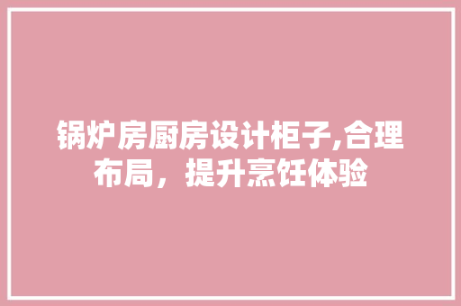 锅炉房厨房设计柜子,合理布局，提升烹饪体验