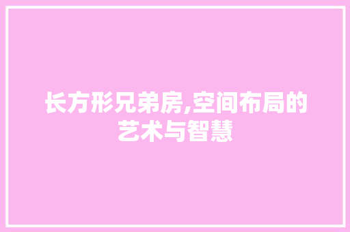 长方形兄弟房,空间布局的艺术与智慧
