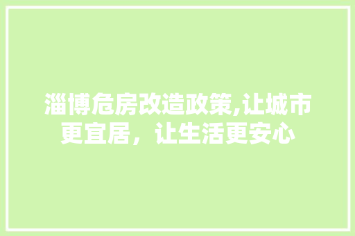 淄博危房改造政策,让城市更宜居，让生活更安心