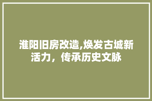 淮阳旧房改造,焕发古城新活力，传承历史文脉