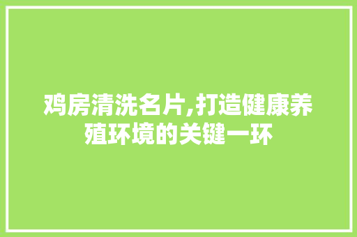 鸡房清洗名片,打造健康养殖环境的关键一环