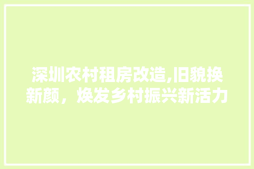 深圳农村租房改造,旧貌换新颜，焕发乡村振兴新活力