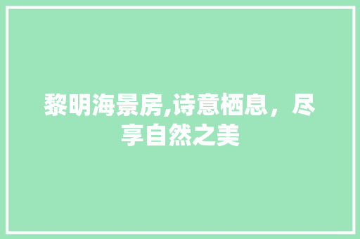 黎明海景房,诗意栖息，尽享自然之美
