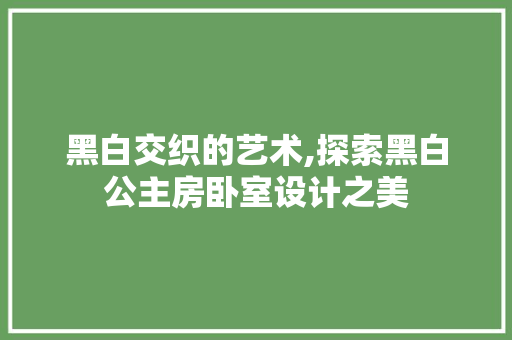 黑白交织的艺术,探索黑白公主房卧室设计之美