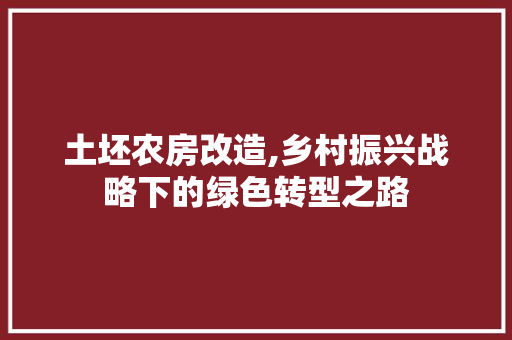土坯农房改造,乡村振兴战略下的绿色转型之路