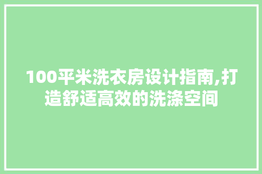 100平米洗衣房设计指南,打造舒适高效的洗涤空间