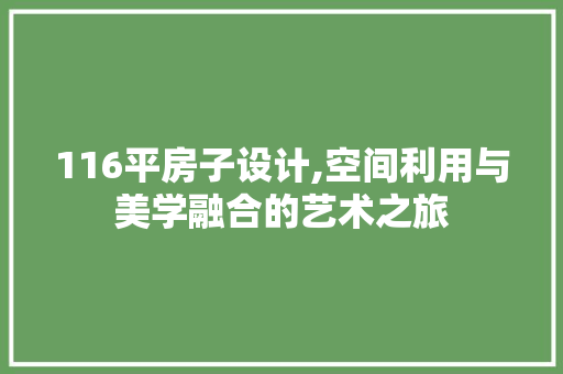 116平房子设计,空间利用与美学融合的艺术之旅