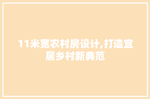 11米宽农村房设计,打造宜居乡村新典范