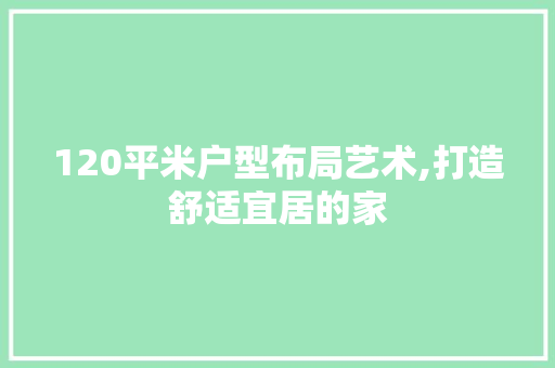 120平米户型布局艺术,打造舒适宜居的家