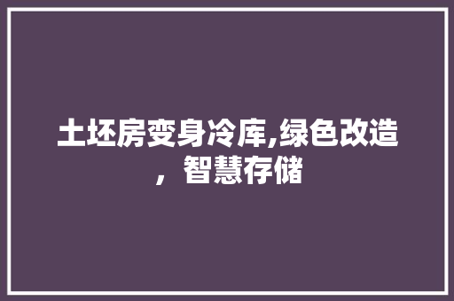 土坯房变身冷库,绿色改造，智慧存储