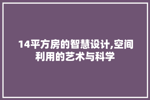 14平方房的智慧设计,空间利用的艺术与科学