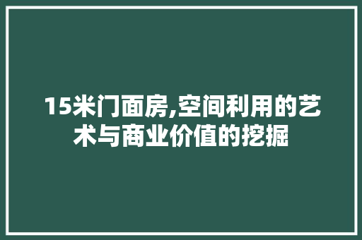 15米门面房,空间利用的艺术与商业价值的挖掘