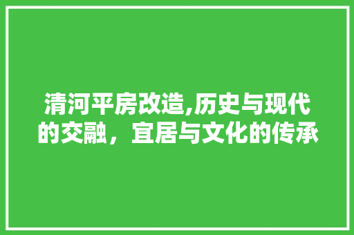清河平房改造,历史与现代的交融，宜居与文化的传承