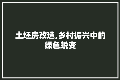 土坯房改造,乡村振兴中的绿色蜕变