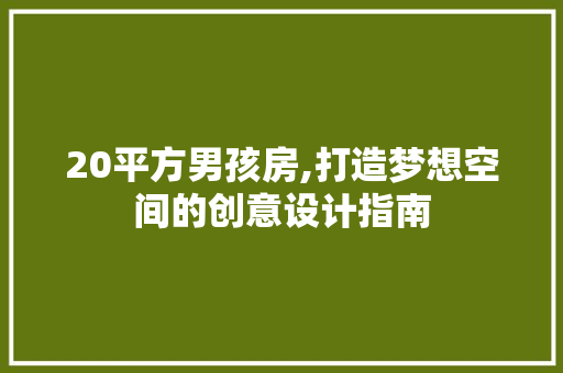 20平方男孩房,打造梦想空间的创意设计指南