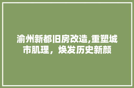 渝州新都旧房改造,重塑城市肌理，焕发历史新颜