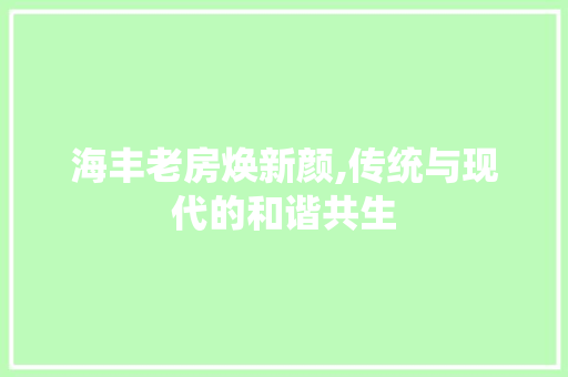 海丰老房焕新颜,传统与现代的和谐共生