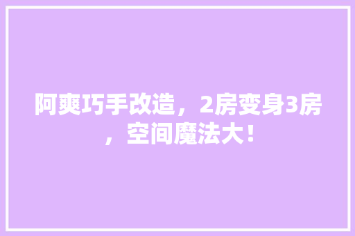 阿爽巧手改造，2房变身3房，空间魔法大！