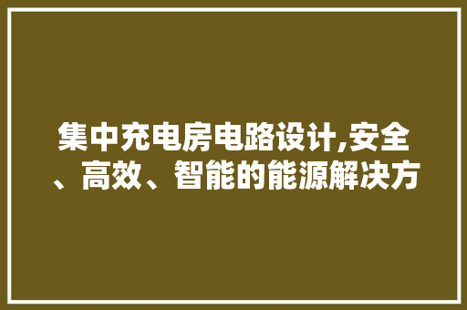 集中充电房电路设计,安全、高效、智能的能源解决方法