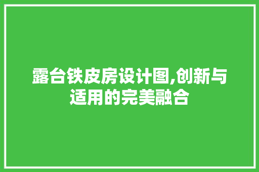 露台铁皮房设计图,创新与适用的完美融合