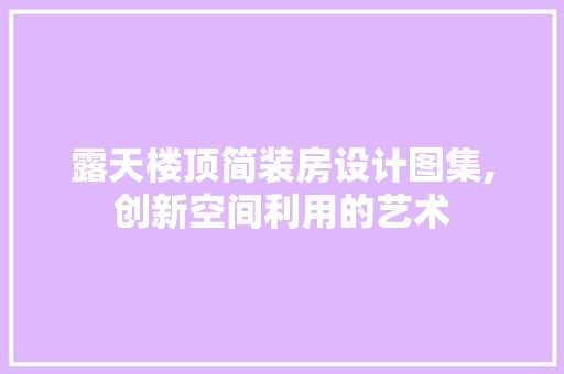 露天楼顶简装房设计图集,创新空间利用的艺术
