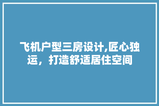 飞机户型三房设计,匠心独运，打造舒适居住空间