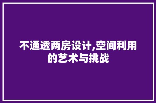 不通透两房设计,空间利用的艺术与挑战