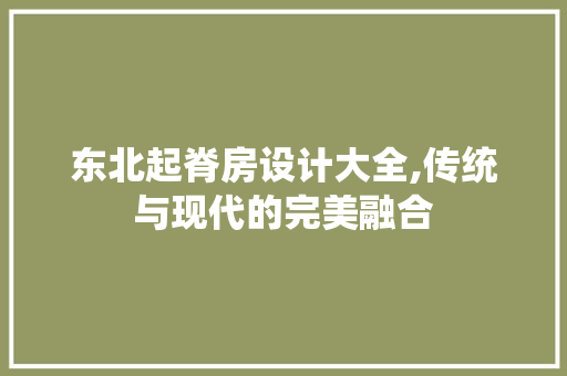 东北起脊房设计大全,传统与现代的完美融合