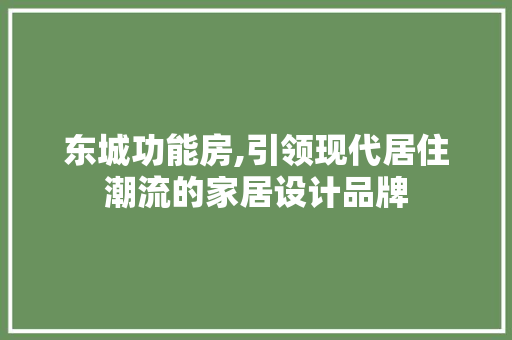 东城功能房,引领现代居住潮流的家居设计品牌