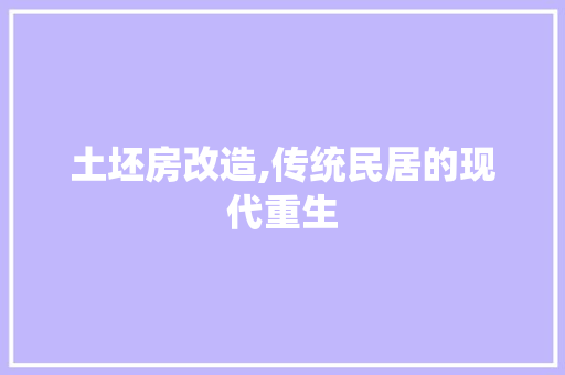 土坯房改造,传统民居的现代重生