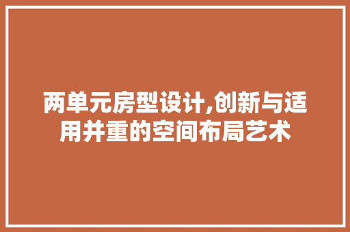 两单元房型设计,创新与适用并重的空间布局艺术