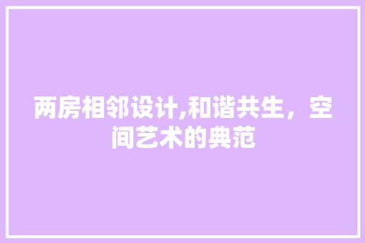 两房相邻设计,和谐共生，空间艺术的典范