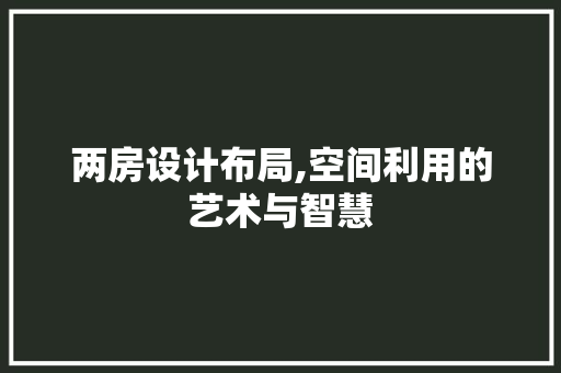两房设计布局,空间利用的艺术与智慧