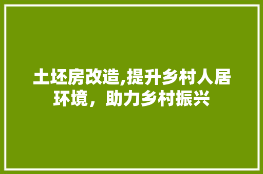 土坯房改造,提升乡村人居环境，助力乡村振兴
