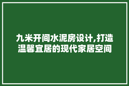 九米开间水泥房设计,打造温馨宜居的现代家居空间