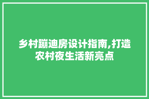 乡村蹦迪房设计指南,打造农村夜生活新亮点