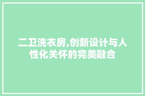 二卫洗衣房,创新设计与人性化关怀的完美融合