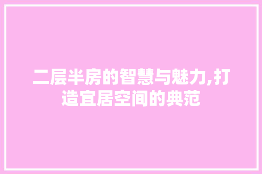 二层半房的智慧与魅力,打造宜居空间的典范
