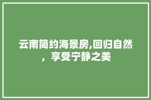云南简约海景房,回归自然，享受宁静之美