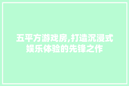 五平方游戏房,打造沉浸式娱乐体验的先锋之作