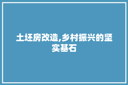 土坯房改造,乡村振兴的坚实基石