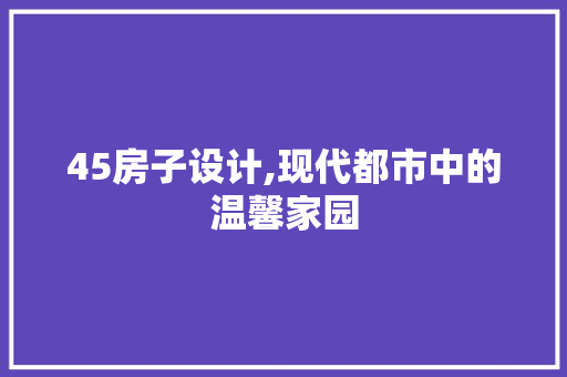45房子设计,现代都市中的温馨家园