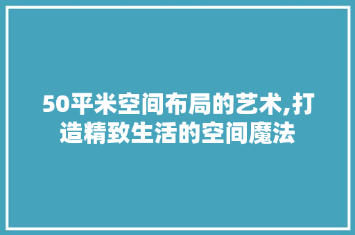 50平米空间布局的艺术,打造精致生活的空间魔法
