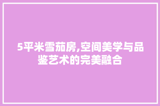 5平米雪茄房,空间美学与品鉴艺术的完美融合
