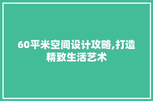 60平米空间设计攻略,打造精致生活艺术